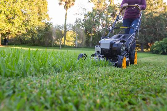 Mowox zero discount turn push mower